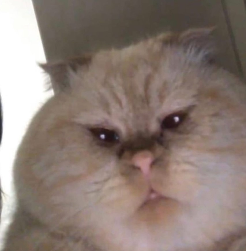 Супер мега космолёт